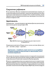 Дизайн Agile-организаций